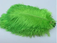 Coloured Ostrich Feathers