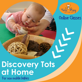 Discovery Tots at Home Online Classes