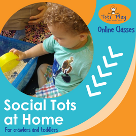 Social Tots at Home Online Classes