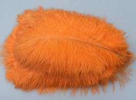 Coloured Ostrich Feather Pk 5
