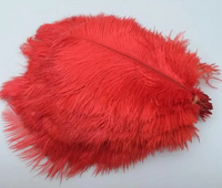 Coloured Ostrich Feather Pk 5