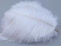 Coloured Ostrich Feather Pk 5