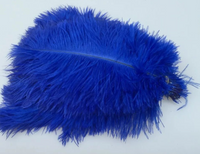 Coloured Ostrich Feathers